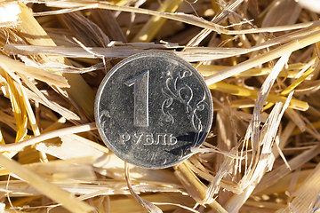 Image showing Russian coins on an agricultural field