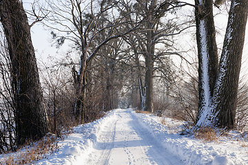 Image showing narrow snow-covered winter road