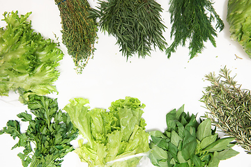 Image showing Different types of fresh garden herbs