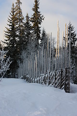 Image showing winter in Trysil