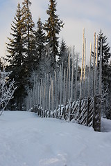 Image showing winter in Trysil