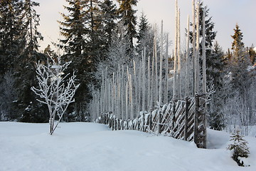 Image showing Old fence