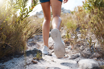 Image showing Woman, legs and walking on mountains path in nature earth exploration, sustainability environment or Canada countryside hike. Zoom, hiker and hiking shoes on trekking trail in wellness health fitness