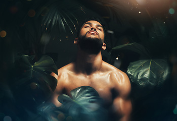 Image showing Beauty, man and body in jungle leaf nature for natural skincare cosmetics advertising. Tropical, monstera and handsome black model thinking of sustainable, health and wellness cosmetic.