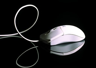 Image showing Computer mouse