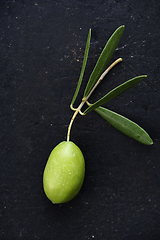 Image showing Olive