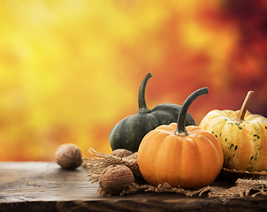 Image showing Autumn crops