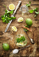 Image showing Mojito ingredients