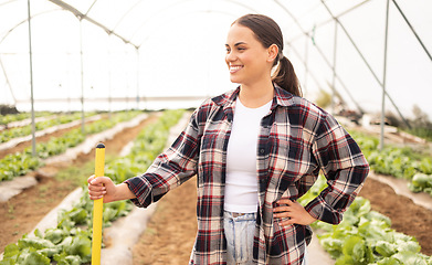 Image showing Happy woman, sustainability and farmer working on garden for sustainable healthy food growth in a greenhouse. Agriculture, gardening and female worker farming organic vegetable plants on outdoor land