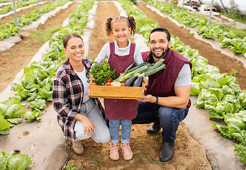 Image showing Family, agriculture and box with vegetables on farm, harvest and fresh product portrait, happy with sustainable farming. Man, woman and girl outdoor, farmer with healthy organic food and nutrition.