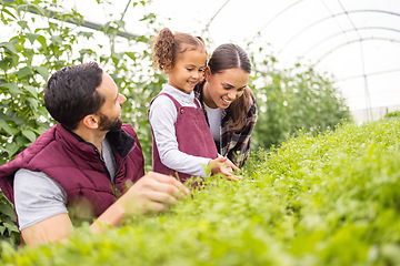 Image showing Learning, greenhouse and farming family in garden with child for plants knowledge, teaching and sustainable lifestyle. Happiness, carbon capture and agriculture sustainability parents with kid.