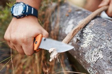 Image showing Camping man, knife and cut wood, tree branch and sharp stick for campfire, hunting and outdoor hiking. Hiker hands, sharp tool and carving plants in nature, forest or survival woods, weapon and spear