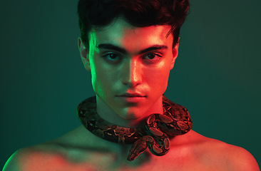 Image showing Snake, beauty and man in studio with green mock up with cosmetics, skincare and lights aesthetic for creative, art and animal print. Neon creativity, natural and nature pet fearless model on mockup