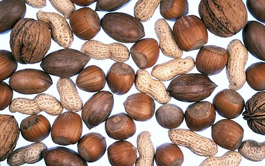 Image showing Detail of nuts