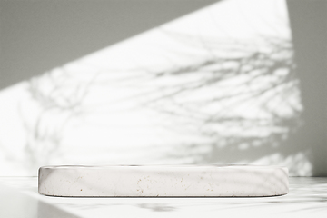 Image showing Luxury marble table with plant shadow on white wall and stone po