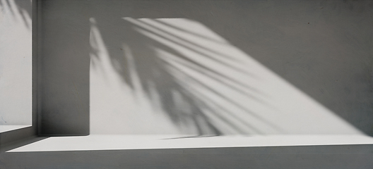 Image showing Minimal product placement background with palm shadow on concret