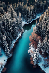 Image showing Drone view of winter landscape with pine forest covered with sno