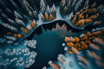 Image showing Drone view of winter landscape with pine forest covered with sno