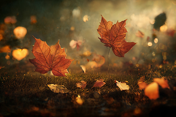 Image showing Closeup of falling autumn leaves in park. Fall landscape scene w