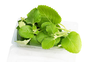 Image showing Mint in plastic bag