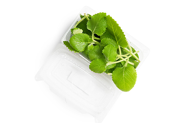Image showing Mint in plastic bag
