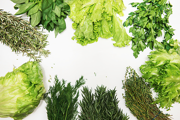 Image showing Different types of fresh garden herbs