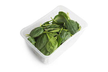 Image showing Basil in plastic bag