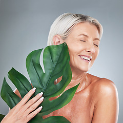 Image showing Beauty, skin and mature woman with plant for organic skincare and anti aging treatment on a grey studio background. Bodycare, plants and natural skin care of older female for cosmetic product
