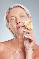 Image showing Mature woman, beauty and flower portrait for natural skincare, wellness and health on a grey studio background. Senior woman, floral facial and glamour for soft, smooth and perfect skin care