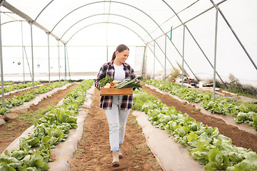 Image showing Woman, farmer or vegetables container in agriculture greenhouse, sustainability environment or countryside farming estate. Smile, happy or walking garden worker with leaf crops or harvest food growth