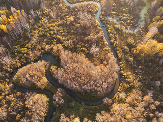 Image showing autumn landscape with river.