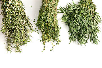 Image showing Thyme Rosemary Tarragon