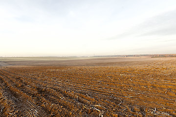 Image showing plowed fertile soil