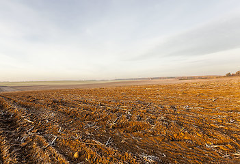 Image showing plowed fertile soil