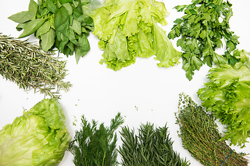 Image showing Different types of fresh garden herbs