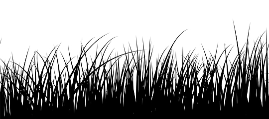 Image showing Seamless Meadow Grass