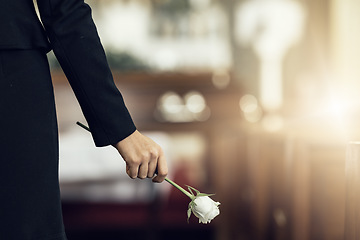 Image showing Flower, funeral and hand holding rose in mourning at death ceremony with grief for loss burial. Floral, church or cemetary with person holding plant for sad bereavement or cemetary event in a chapel