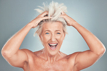 Image showing Crazy, funny and senior woman with hair problem or style issue on a grey studio background. Damage, bad and messy of elderly female mistake with blonde hair loss for advertisement on a backdrop