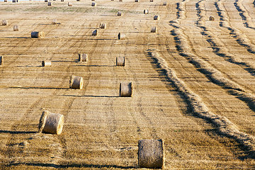 Image showing a stack of straw