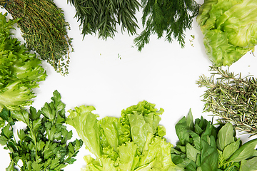 Image showing Different types of fresh garden herbs