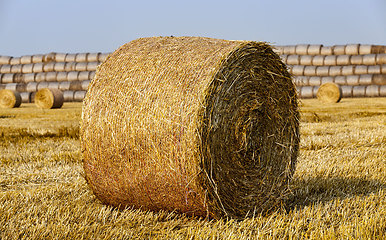 Image showing agricultural field with straw stacks