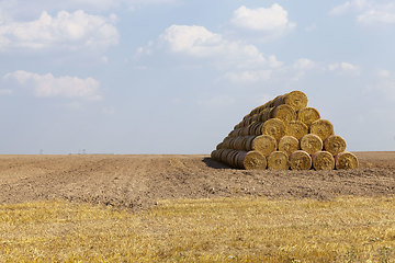 Image showing a stack of straw