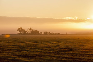 Image showing landscape in nature during sunset