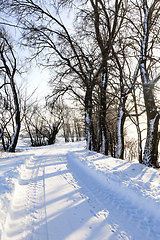 Image showing snow-covered winter road