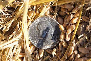 Image showing American coins are cents