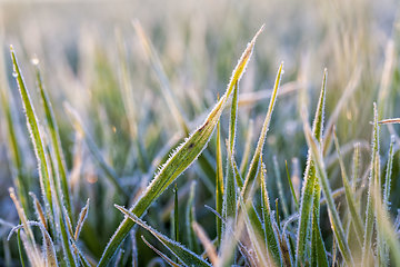 Image showing winter weather in an agricultural field