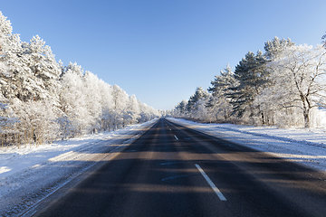 Image showing road in the forest