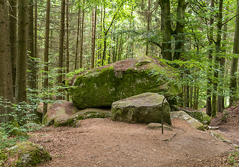 Image showing nature reserve in the Bavarian Forest