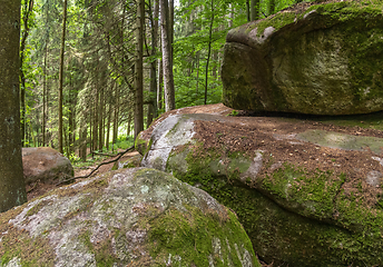 Image showing nature reserve in the Bavarian Forest