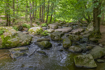 Image showing nature reserve in the Bavarian Forest